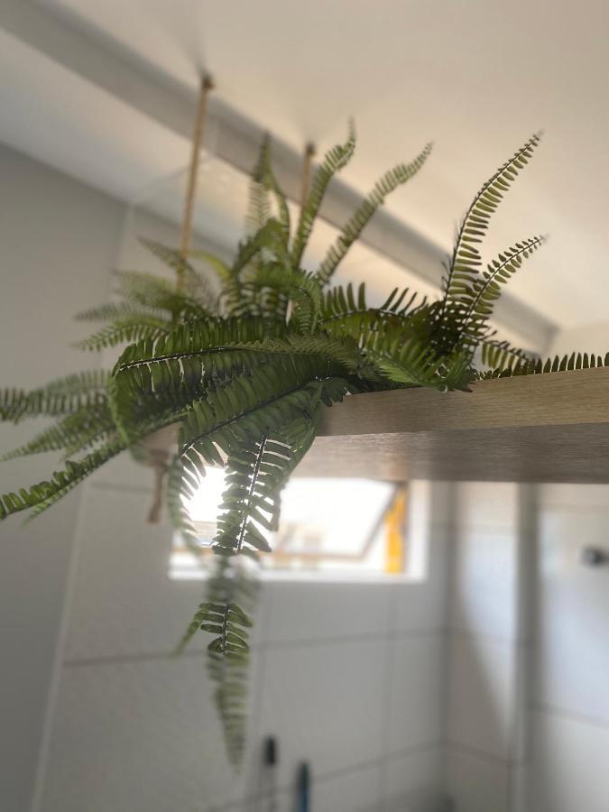 Portal Do Atlantico Apartment Бара де Сао Мигел Екстериор снимка